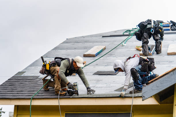 Professional Storm Damage Roof Repair technician working in New Virginia, IA